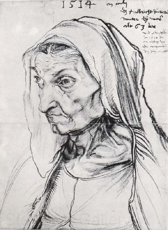 Albrecht Durer Durer-s Mother Barbara,Nee Holper